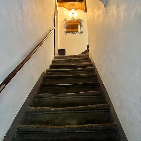 Navona Fox House Apartment โรม ภายนอก รูปภาพ