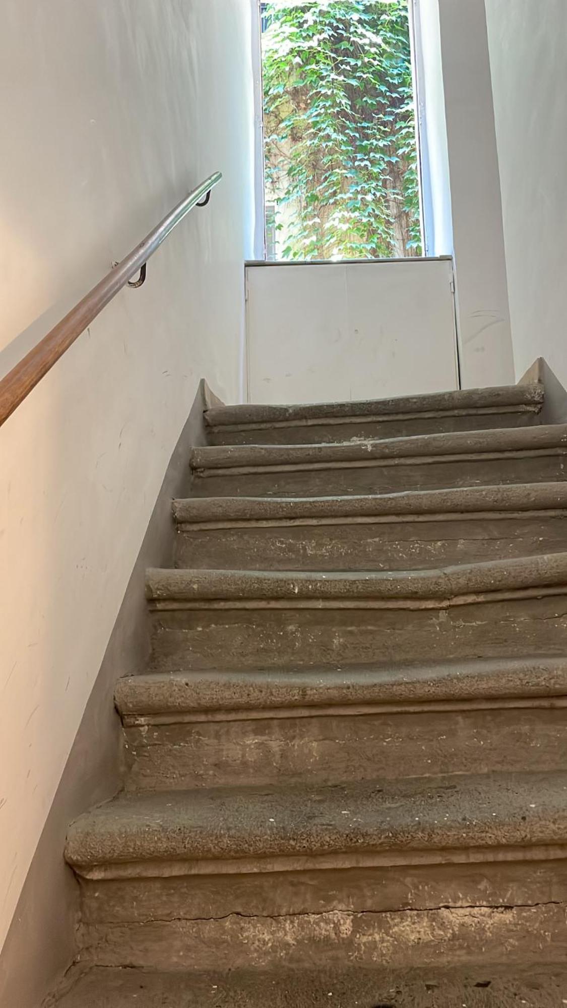 Navona Fox House Apartment โรม ภายนอก รูปภาพ